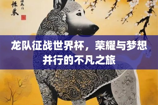 龙队征战世界杯，荣耀与梦想并行的不凡之旅