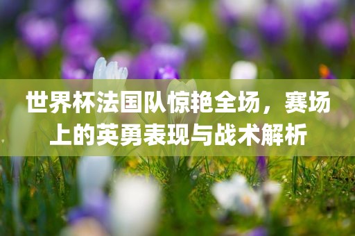 世界杯法国队惊艳全场，赛场上的英勇表现与战术解析