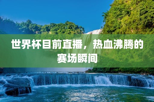世界杯目前直播，热血沸腾的赛场瞬间