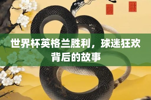 世界杯英格兰胜利，球迷狂欢背后的故事