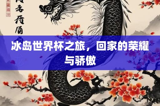 冰岛世界杯之旅，回家的荣耀与骄傲