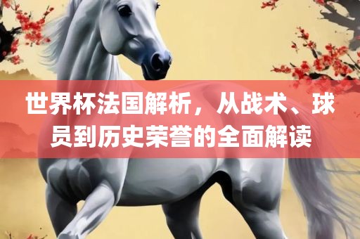 世界杯法国解析，从战术、球员到历史荣誉的全面解读