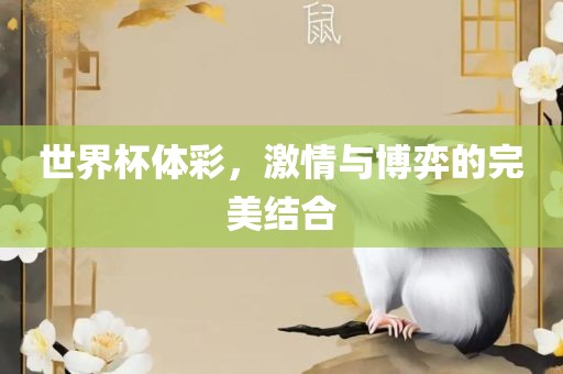 世界杯体彩，激情与博弈的完美结合