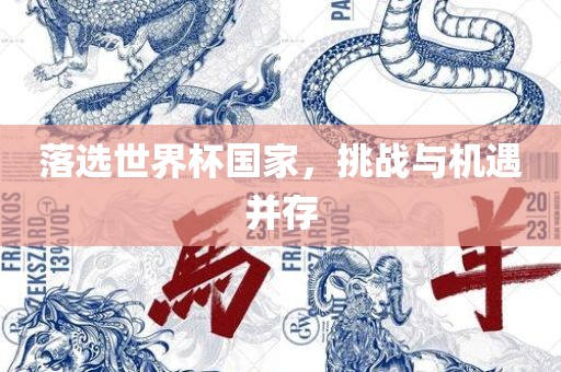 落选世界杯国家，挑战与机遇并存