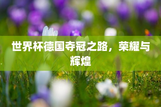 世界杯德国夺冠之路，荣耀与辉煌