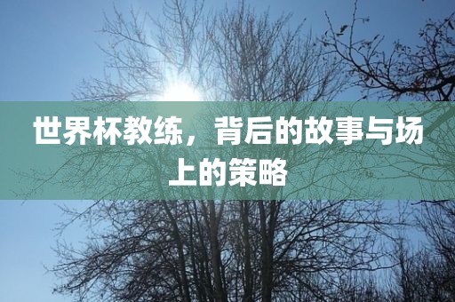 世界杯教练，背后的故事与场上的策略