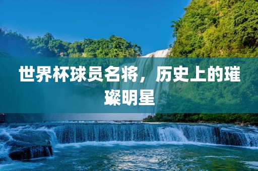 世界杯球员名将，历史上的璀璨明星眉山市正发家政服务有限公司