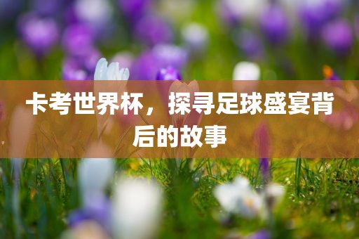 卡考世界杯，探寻足球盛宴背后的故事