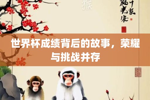 世界杯成绩背后的故事，荣耀与挑战并存