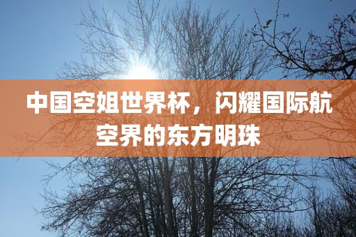 中国空姐世界杯，闪耀国际航空界的东方明珠