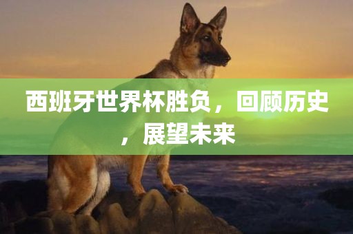 西班牙世界杯胜负，回顾历史，展望未来