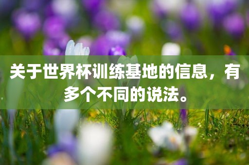 wushuxia