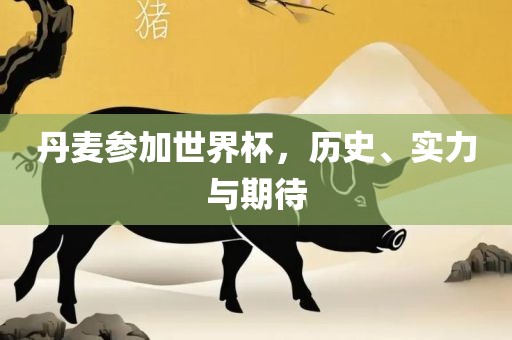 丹麦参加世界杯，历史、实力与期待