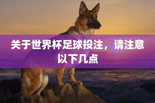 关于世界杯足球投注，眉山市正发家政服务有限公司请注意以下几点