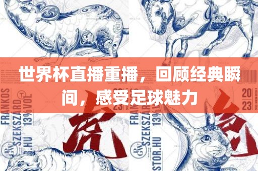 世界杯直播重播，回顾经典瞬间，感受足球魅力