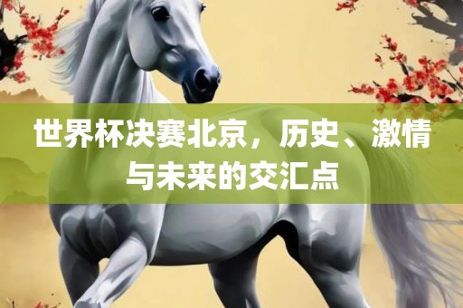 世界杯决赛北京，历史、激情与未来的交汇点