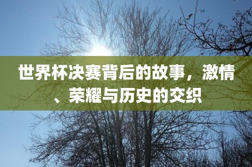 世界杯决赛背后的故事，激情、荣耀与历史的交织