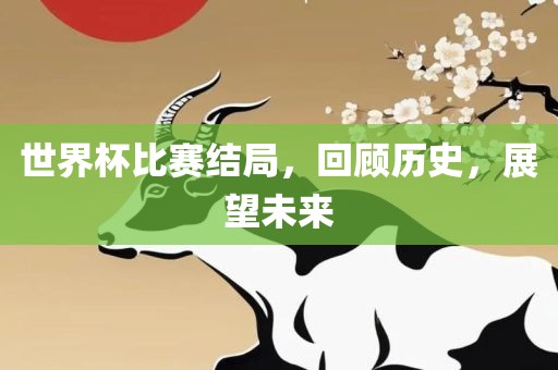 世界杯比赛结局，回顾历史，展望未来