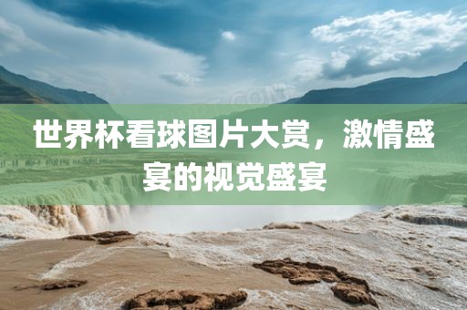 世界杯看球图片大赏，激情盛宴的视觉盛宴