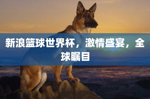新浪篮球世界杯，激情盛宴，全球瞩目