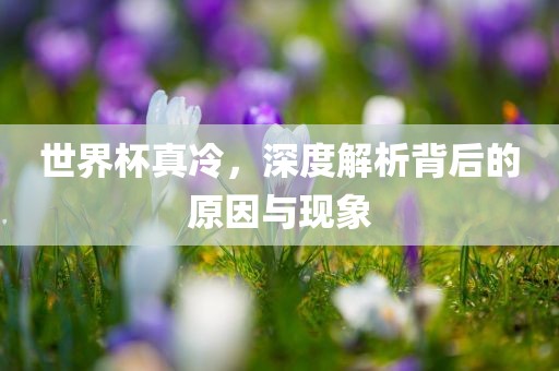 世界杯真冷，深度解析背后的原因与现象