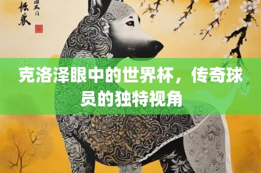 克洛泽眼中的世界杯，传奇球员的独特视角