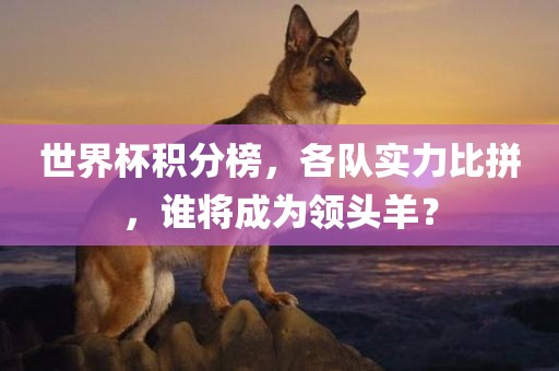 世界杯积分榜，各队实力比拼，谁将成为领头羊？