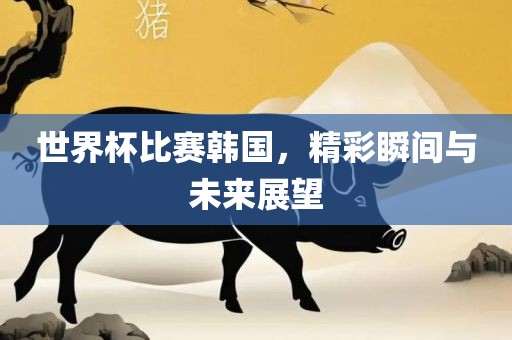 世界杯比赛韩国，精彩瞬间与未来展望