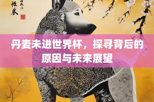 丹麦未进世界杯，探寻背后的原因与未来展望
