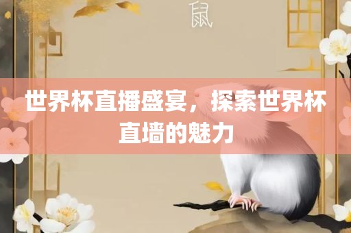 世界杯直播盛宴，探索世界杯直墙的魅力