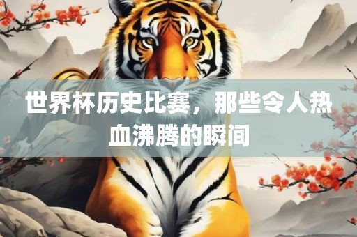 世界杯历史比赛，那些令人热血沸腾的瞬间