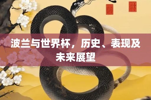 波兰与世界杯，历史、表现及未来展望