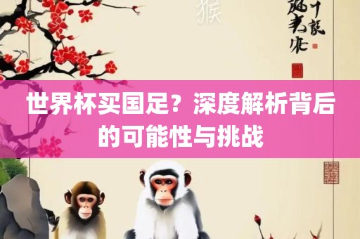 世界杯买国足？深度解析背后的可能性与挑战