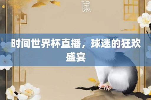 时间世界杯直播，球迷的狂欢盛宴