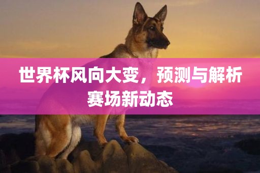 世界杯风向大变，预测与解析赛场新动态