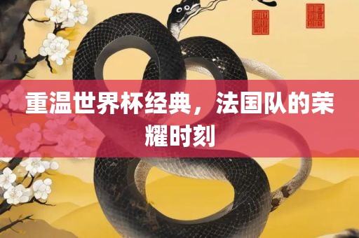 重温世界杯经典，法国队的荣耀时刻