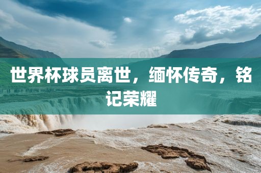 世界杯球员离世，缅怀传奇，铭记荣耀