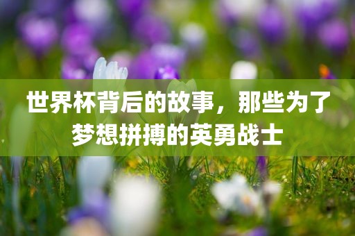 世界杯背后的故事，那些为了梦想拼搏的英勇战士