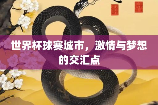 世界杯球赛城市，激情与梦想的交汇点