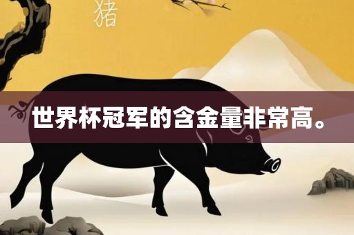 世界杯冠军的含金量非常高。