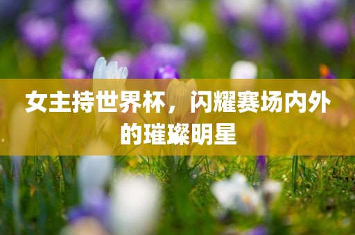 女主持世界杯，闪耀赛场内外的璀璨明星
