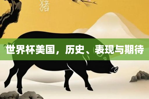 世界杯美国，历史、表现与期待