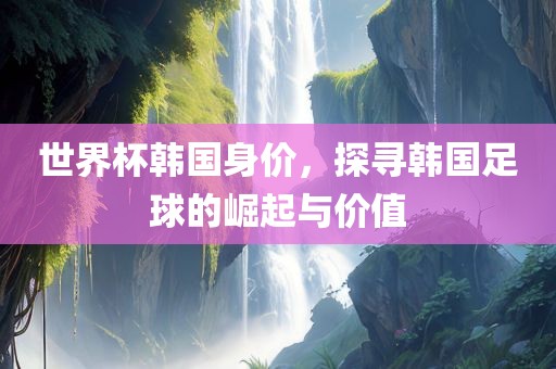 世界杯韩国身价，探寻韩国足球的崛起与价值