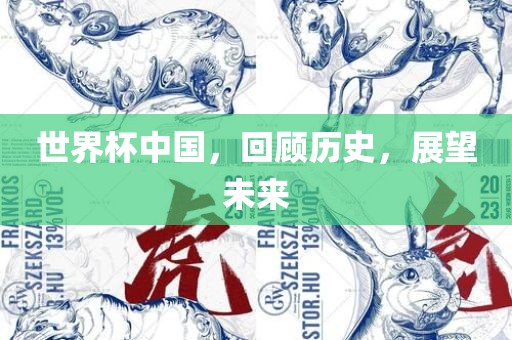世界杯中国，回顾历史，展望未来