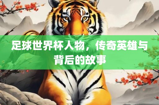 足球世界杯人物，传奇英雄与背后的故事
