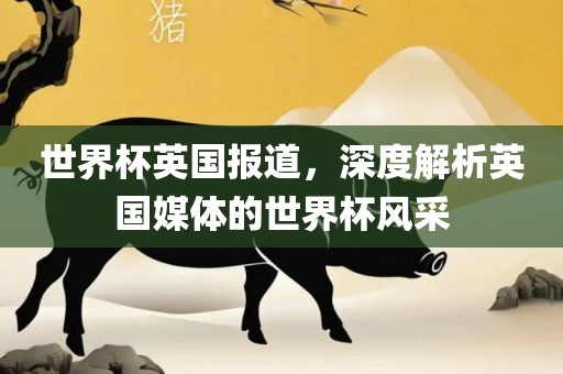 世界杯英国报道，深度解析英国媒体的世界杯风采