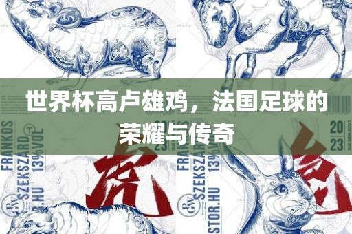 世界杯高卢雄鸡，法国足球的荣耀与传奇