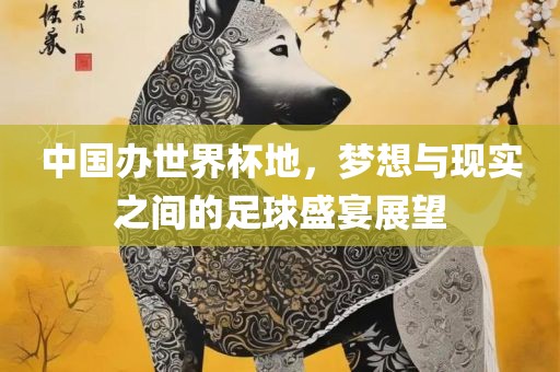 中国办世界杯地，梦想与现实之间的足球盛宴展望