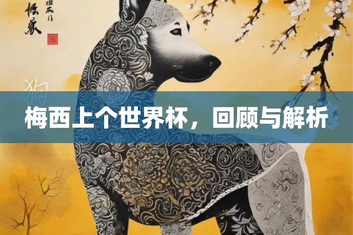 梅西上个世界杯，回顾与解析
