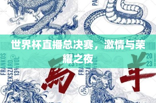 世界杯直播总决赛，激情与荣耀之夜